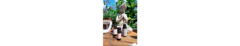 Banner de la categoría Combinados