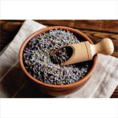 flor de lavanda