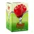FRUIT SEXY GEL BEIJÁVEL 40ML - INTT - Ss Jaqueline Cardoso