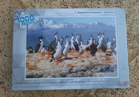 PINGUINOS PATAGÓNICOS - ARGENTINA-