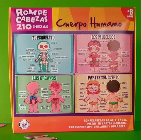 CUERPO HUMANO
