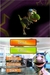 DINO PETS SEMINOVO - DS on internet