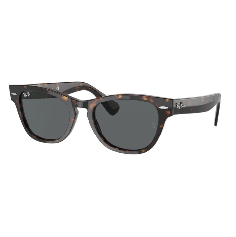 RayBan 2201 Laramie