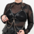 Harness