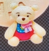 Molde Urso Fofo Cód 353