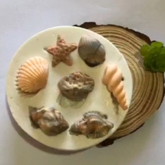 Molde de Silicone Multi Conchas 02 cód 909