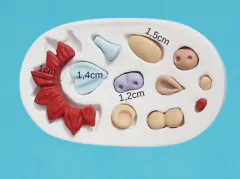 Molde Acessórios Pet P cód 94
