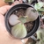 Echeveria gibbiflora sem id 3H pote 9 - SUCUOFERTA ESPECIAL