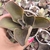 Echeveria gibbiflora one up 4G pote 11 - carunculas - comprar online