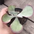 Kalanchoe fantastic 3C pote 9 - SUCULOUCURA DA SEMANA - comprar online