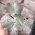 Echeveria gibbiflora kundry 3C pote 11 - carunculas - emitindo raízes - comprar online