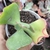 Echeveria Gibbiflora Callophillis 1A pote 9 - NOVIDADE - comprar online