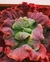 Echeveria gibbiflora nubarron 4D pote 9 - carunculas - SUCUOFERTA ESPECIAL - comprar online