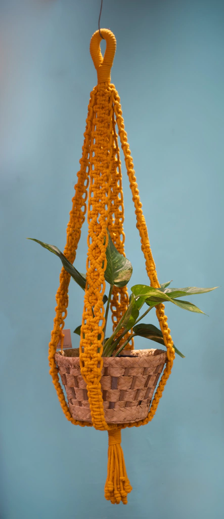 Suporte para plantas - AÇUCENA