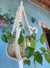 Suporte para plantas - IROKO - Ser Tão Mar