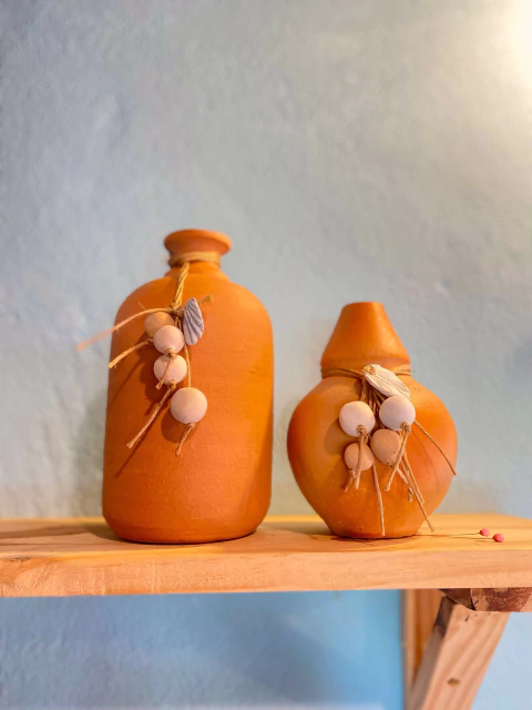 Dupla Jarros Sertão