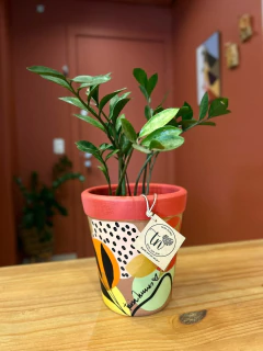 Vaso - Ana - loja online