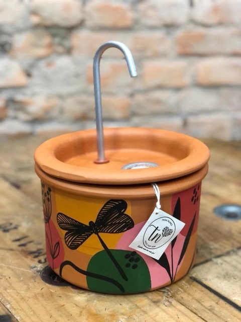 Fonte Pet (Cano) - Encantada