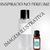 M222 Essência Perf 50ml Inspirado NEW LOOK - 2024 - comprar online