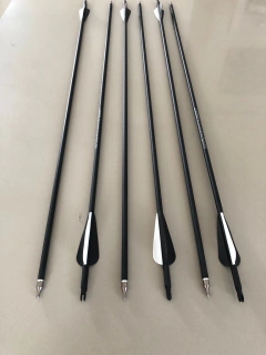 FLECHA DE CARBONO (UNIDADE)