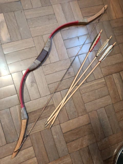 ARCO MONGOL - comprar online