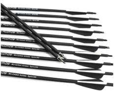 FLECHA DE CARBONO (UNIDADE) - comprar online