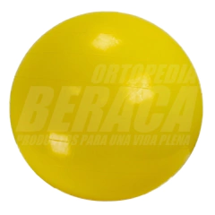 Pelota Inflable CARE QUIP 75cm. Esferodinamia Rehabilitación Fitness Yoga - No Explota | Nacional