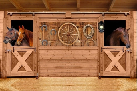 Painel de Lona Haras Estábulos Cavalo