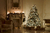 Fundo Fotográfico em Tecido Casa Natal Árvore Iluminada na internet
