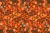 Tapete em Lona Folhas Secas de Outono 300x200cm