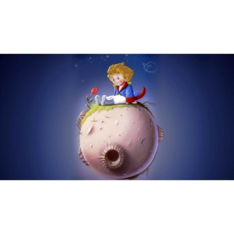 Painel De Tecido Sublimado Pequeno Príncipe 002