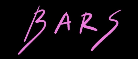B A R S denim art