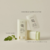 PROTETOR SOLAR MATTE SUN STICK MUGWORT + CAMELIA BEAUTY OF JOSEON - loja online