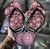 Chinelos com estampas