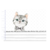 Livro Menino - Gatinho 1