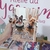 Caderneta para 2 Pets - Personalizada com Foto - comprar online