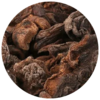 Hongos de Pino Deshidratados