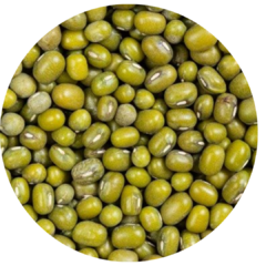 Porotos Mung