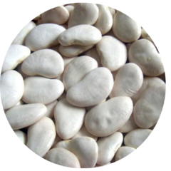 Porotos Pallares