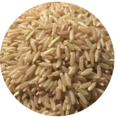 Arroz Integral Largo Fino