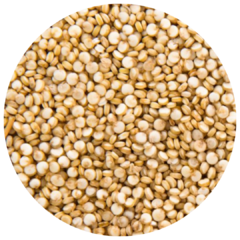 Quinoa Real Blanca