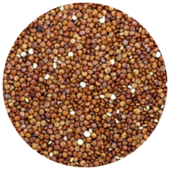 Quinoa Roja