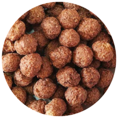Bolitas de Chocolate