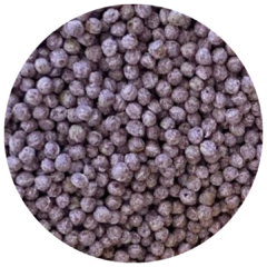 Quinoa Inflada con Arándanos
