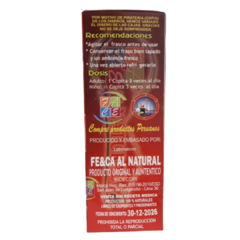 Gastritis Ulcer Gas x500ml - FE&CA Al Natural en internet