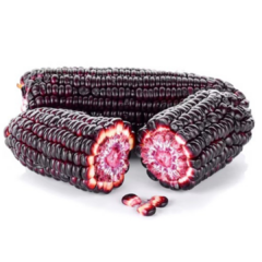 Harina de Maíz Morado API - Virrey del Peanut2