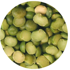 Arveja Partida Seca