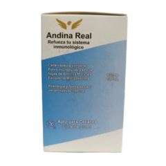 Graviola Sin T.A.C.C. - Andina Real - Virrey del Peanut2