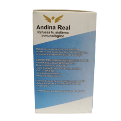 Graviola Sin T.A.C.C. - Andina Real en internet