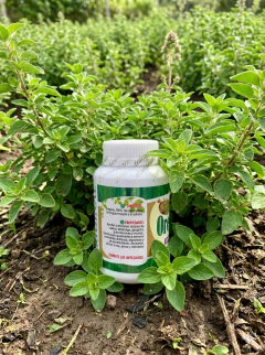 Frasco De 100 Cápsulas De Orégano Natural Medix - comprar online